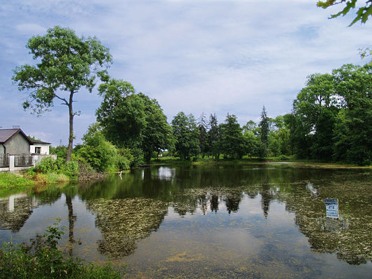 Gulczewo Stare - staw
Słowa kluczowe: gulczewo stare