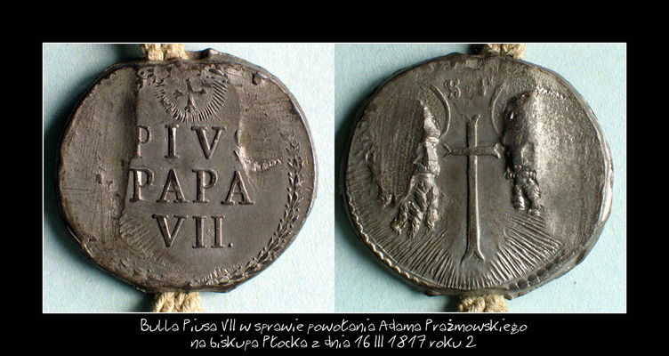 Bulla Piusa VII
