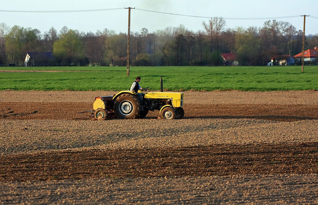 Mechanizacja ...
... pod płockich wsi.
Okolice Rydzyna
