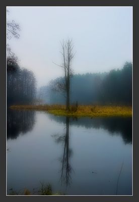 Ścieżka dydaktyczna Gostynińsko-Włocławskiego Parku Krajobrazowego. Przystanek nr.3 - jezioro Soczewka.
