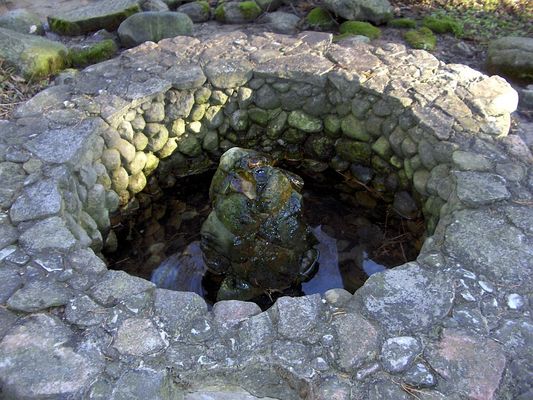 Borowice
Źródło smacznej wody.
Słowa kluczowe: Borowice
