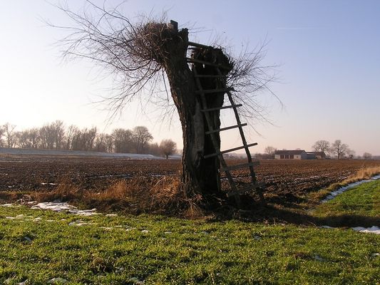 ambona myśliwych na dziki
Rydzyno nad Wisłą
Słowa kluczowe: ambona myśliwych Rydzyno