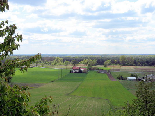 widok na Grabówkę i królową polskich rzek ze skarpy pradoliny Wisły (od Podolszyc)
***
