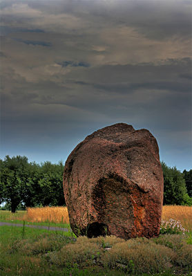 Głaz
[i]Między Zaździerzem a Dobrzykowem[/i]


Na życzenie
