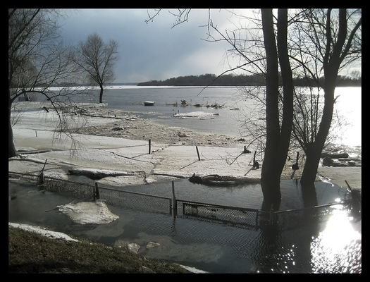 przystań jachtowo-motorowa zalana przez Wisłę - 3 marca 2010 r.
* * * *
o. Borowiczki
Słowa kluczowe: Borowiczki