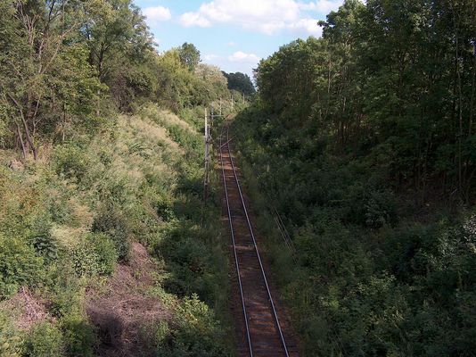 Wjazd koleją do Płocka - 2
