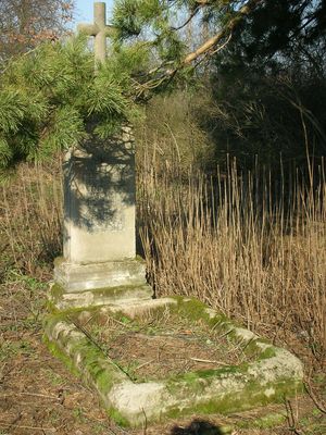 Cmentarz niemiecki w Białobrzegach
Zdjęcie przedstawia pozostałości cmentarza w Białobrzegach, na którym chowano kiedyś mieszkańców tych okolic narodowości niemieckiej. Obecnie zostały tu tylko cztery nagrobki (w tym trzy z płytami nagrobnymi) oraz słupki bramy wejściowej.
Słowa kluczowe: Cmentarz niemiecki