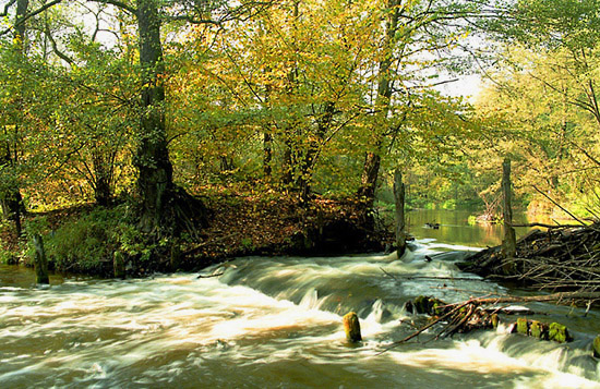 w dolinie Skrwy Prawobrzeżnej
nizinna rzeka, dopływ Wisły w miejscu sztucznego spiętrzenia w rezerwacie przyrodniczym Sikórz Brudzeńskiego Parku Krajobrazowego
Słowa kluczowe: rzeka krajobraz rezerwat sikórz spietrzenie jesien woda wodospad skrwa