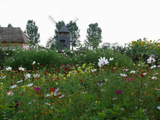 Zagroda
Sierpc. Muzeum wsi mazowieckiej.
Słowa kluczowe: Sierpc, skansen
