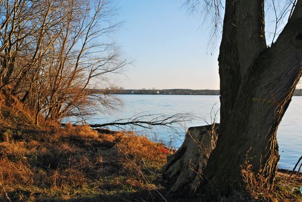 Wisła w Murzynowie
Słowa kluczowe: Wisła, Murzynowo