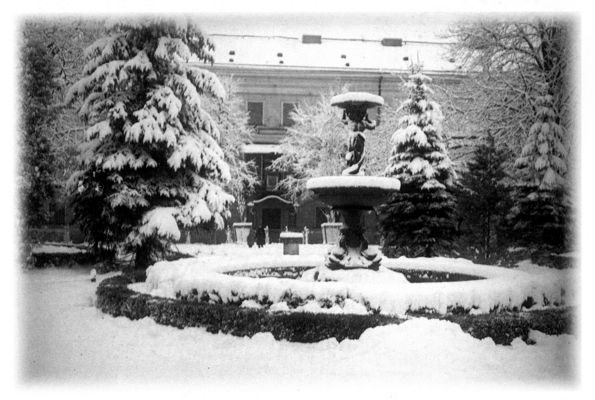 Fontanna na Placu Floriańskim we mgle
lata 20ste

Autor: Aleksander Maciesza
