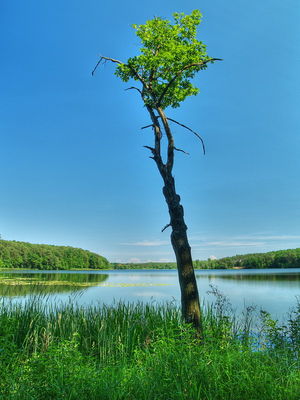 J. Górskie
olympus E-500 / 14-45, HDR + krzywe
