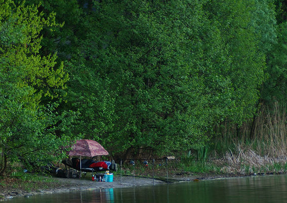 Grabina
4:30 Stary niedźwiedź mocno śpi..... a ryba bierze :D
