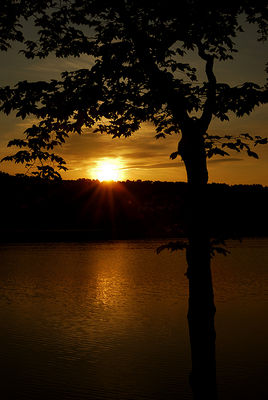 Wschód słońca nad jeziorem Górskim
Grabina

