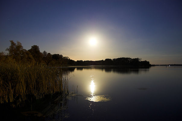 w świetle księżyca
ujście Skrwy Prawej do Wisły.

