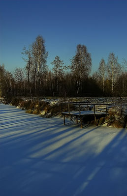 Leśna zima
Jeżewo k./Nowego Duninowa
