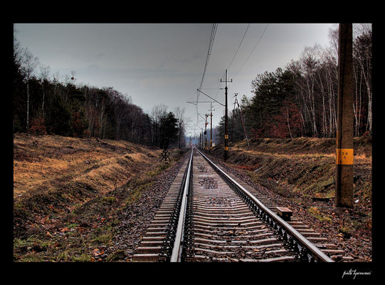 pomiędzy Sędeniem, a Łąckiem...
...trzeba uważać, bo pociąg może wjechać w plecy ;)
