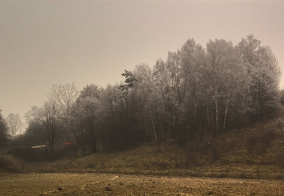 Szron grudniowy
Brudzeński Park Krajobrazowy
Parzeń k./ Brudzenia Dużego
