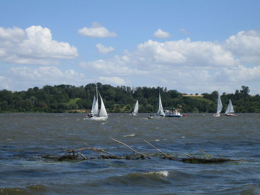 Regaty
Nowy Duninów 15-07-2006
