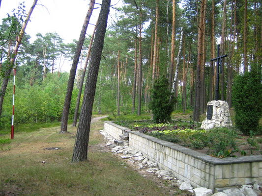 Pomnik Pomordowanych
Lasy Brwileńskie. Poległym na polu chwały 1939-1945.
