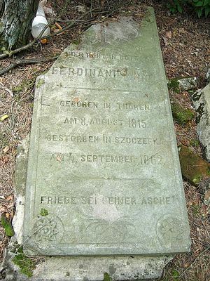 Płyta grobowa
Wola Brwileńska -cmentarz
