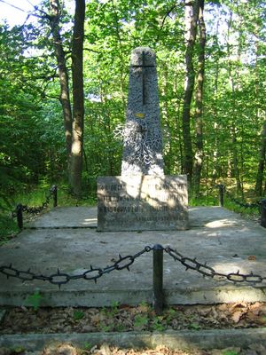 Pomnik w lasach Łąckich
troche dalej są trzy miejsca egzekucji. 
