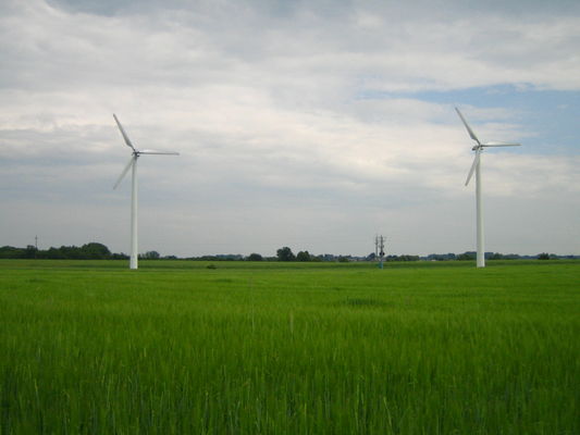 Wiatraki
Okolice Płocka
