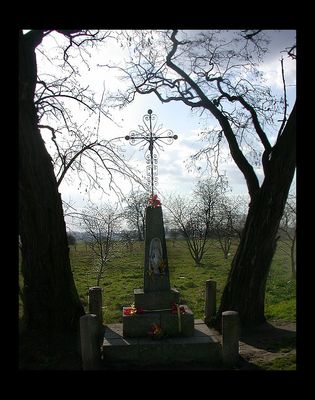 Figurka matki Bożej Kostrogaj
