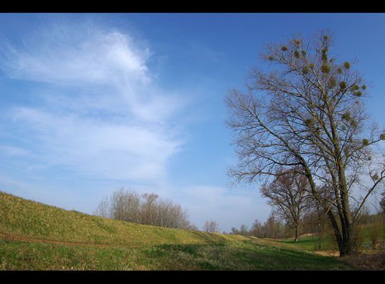 słoneczny poranek
Kępa Polska

