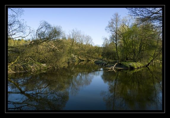 Rzeka Skrwa w okolichach Cierszewa
