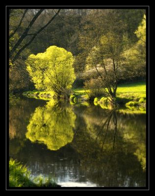 Rzeka Skrwa w okolichach Cierszewa
