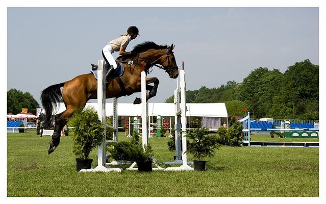 Ogólnopolskie Zawody w Skokach przez Przeszkody - Łąck 2007
Łąck 26 V 2007
