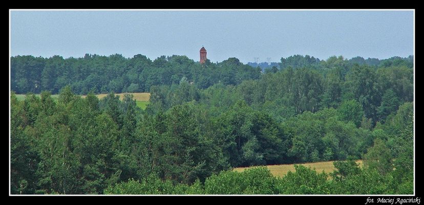 Panorama ze szczytu grodziska w Szeligach. W oddali wieża kościoła w Miszewku.
