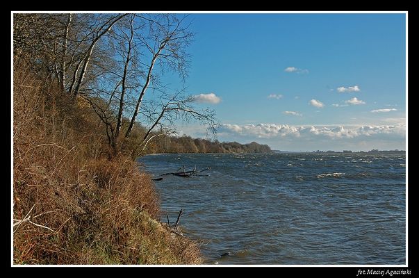 Wisła na wysokości Brwilna
