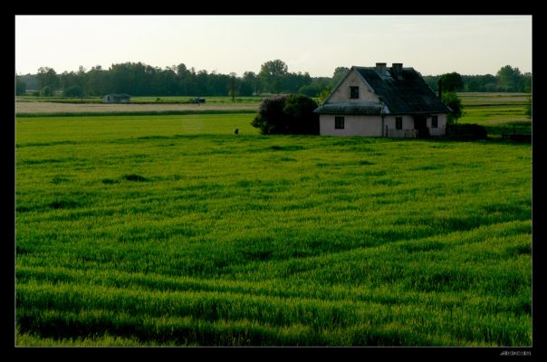 Domek na wsi
Zdjęcie wykonano pomiędzy Borowiczkami a Rydzynem
