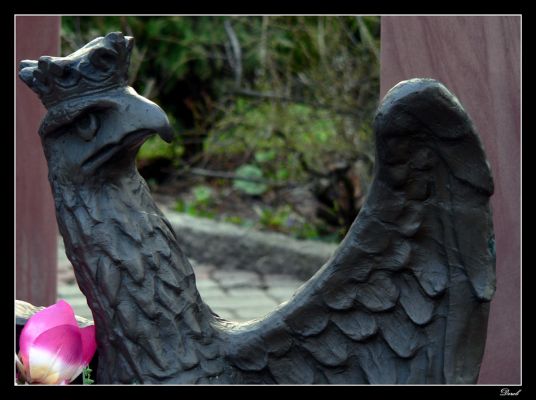 Kwiaty dla króla ;)
Fragment pomnika ks Jerzego Popiełuszki przy Stanisławówce
