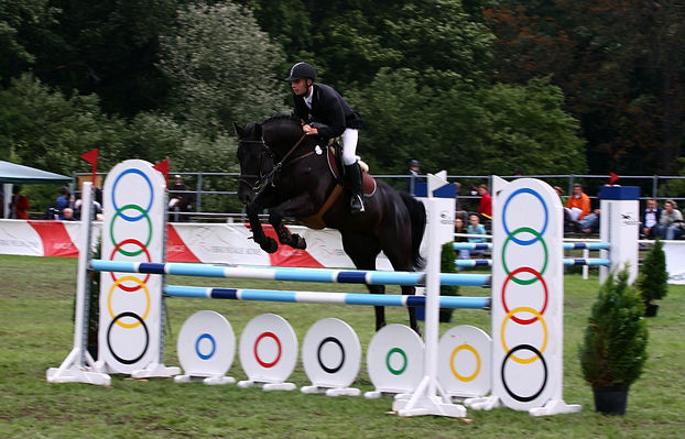 Mistrzostwa Polski Młodych Koni w Skokach przez Przeszkody w Łącku
23 sierpnia 2008
