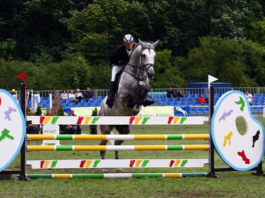 Mistrzostwa Polski Młodych Koni w Skokach przez Przeszkody w Łącku
23 sierpnia 2008
