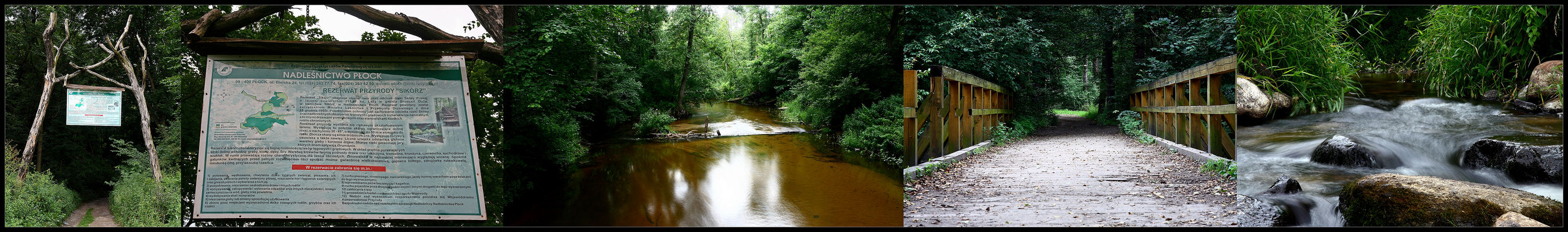 Rezerwat przyrody "Sikórz"
UWAGA - duży format zdjęcia ( 3415,0KB :D )  spowodowany jest lenistwem autora i niechęcią do przepisywania tekstu z tablicy.
