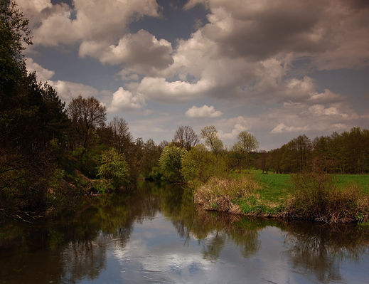 Skrwa
Okolice Cierszewa
