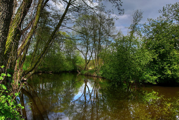 Skrwa
Okolice Cierszewa
