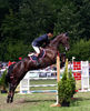 Mistrzostwach_Polski_Mlodych_Koni_w_Skokach_przez_Przeszkody_12_kopia_1.jpg