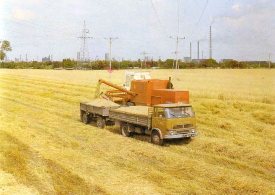 Akcja żniwna pod Kombinatem
