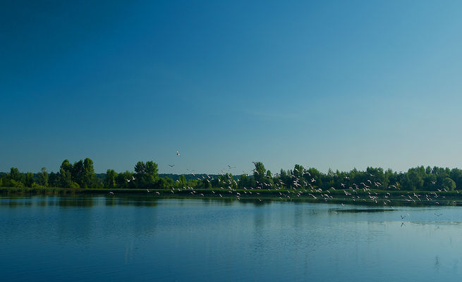 Wisła - okolice Soczewki
