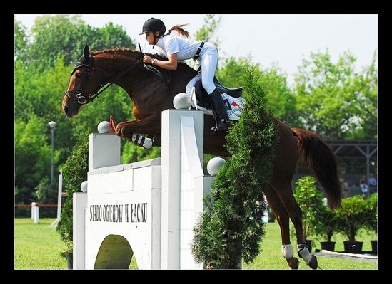 Zawody Ogólnopolskie Oficjalne w Skokach przez Przeszkody,  Łąck 25.05 - 27.05 2007r
hipodrom trawiasty S.O. w Łącku  Seria A i B konie 5 i 6 letnie.
