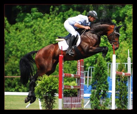 Zawody Ogólnopolskie Oficjalne w Skokach przez Przeszkody,  Łąck 25.05 - 27.05 2007r
hipodrom trawiasty S.O. w Łącku  Seria A i B konie 5 i 6 letnie.
