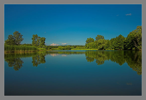 Stawy - okolice Kępy Polskiej
