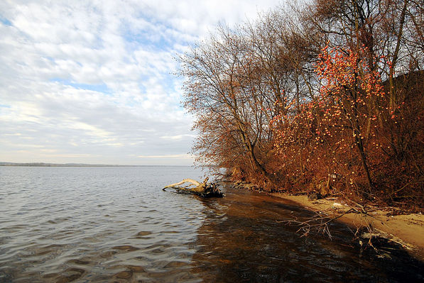 Wisła na wysokości Siecienia.
