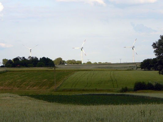 Wiatraki koło Bodzanowa.
Naprawdę ciekawie się prezentują. :)

