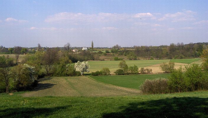 Wiosna
Widok od kościoła w Bądkowie.
Słowa kluczowe: Bądkowo Kościelne